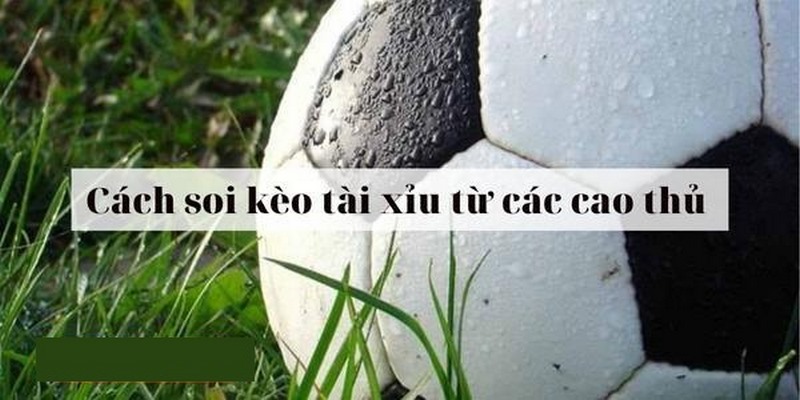 Chia sẻ bí quyết chơi kèo tài xỉu đảm bảo thắng, ăn tiền nhà cái