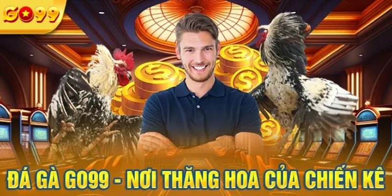 Hướng dẫn tham gia vào chuyên mục đá gà GO99