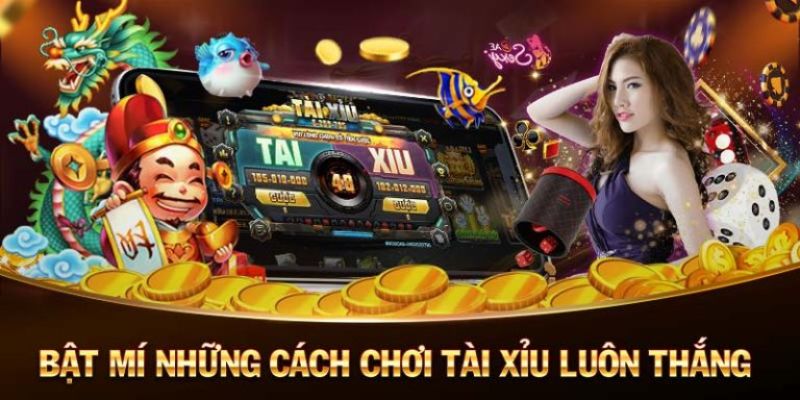 Cách chơi tài xỉu luôn thắng đỉnh cao từ bet thủ